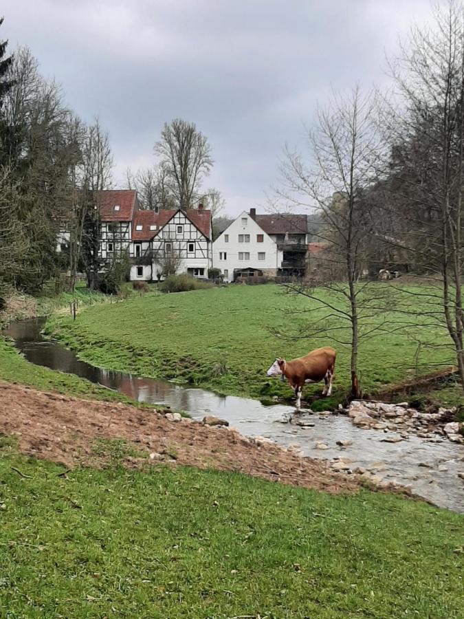 Haus An Der Werbe Waldeck (Hessen) Exterior foto