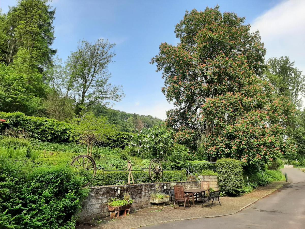 Haus An Der Werbe Waldeck (Hessen) Exterior foto